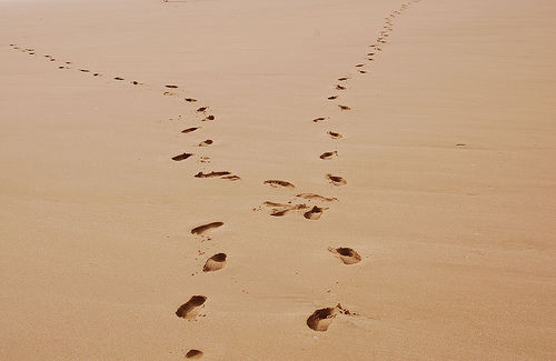 google webmaster relationship loss of trust l